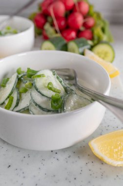 Salatalık salatası ve yoğurt sosu.