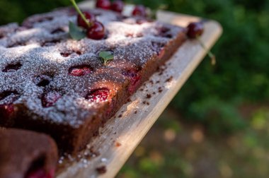Bahçedeki tepside kirazlı çikolatalı pasta.