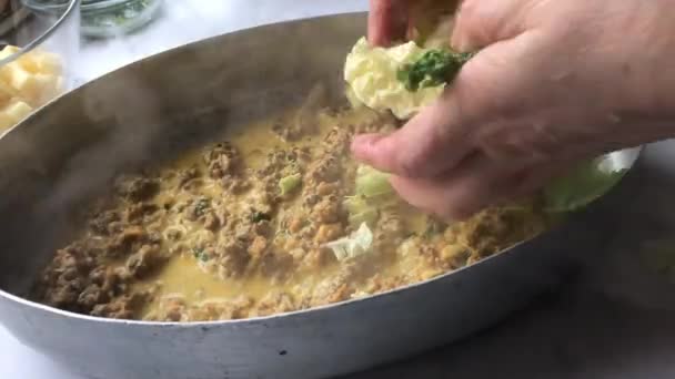 Preparación Llenado Una Cazuela Fresca Con Salsa Carne Picada Col — Vídeo de stock