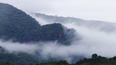 Tayland 'daki Khao Yai Ulusal Parkı' ndaki dağ vadisinden akan sis.