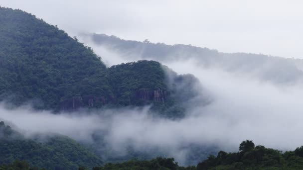 Névoa Que Flui Através Vale Montanha Parque Nacional Khao Yai — Vídeo de Stock