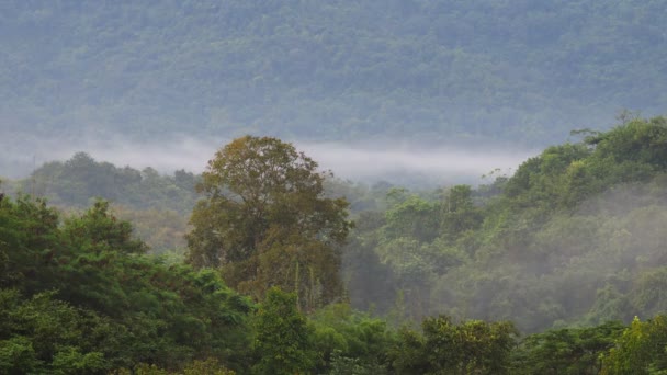 タイのカオ ヤイ国立公園の山の谷を流れる霧 — ストック動画