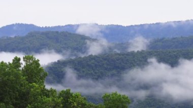 Tayland 'daki Khao Yai Ulusal Parkı' ndaki dağ vadisinden akan sis.