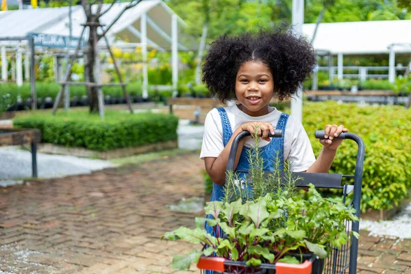 非洲孩子的肖像是从当地花园中心的苗圃中挑选蔬菜和草本植物 而购物车则装满了夏季植物 用于周末园艺和户外运动 — 图库照片
