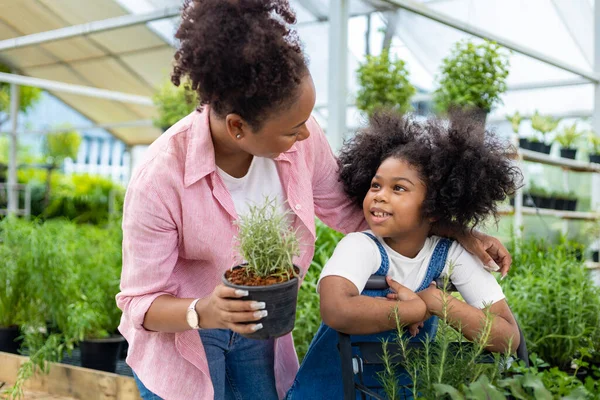 African Mother Daughter Choosing Vegetable Herb Plant Local Garden Center —  Fotos de Stock