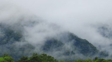 Tayland 'daki Khao Yai Ulusal Parkı' ndaki dağ vadisinden akan sis.