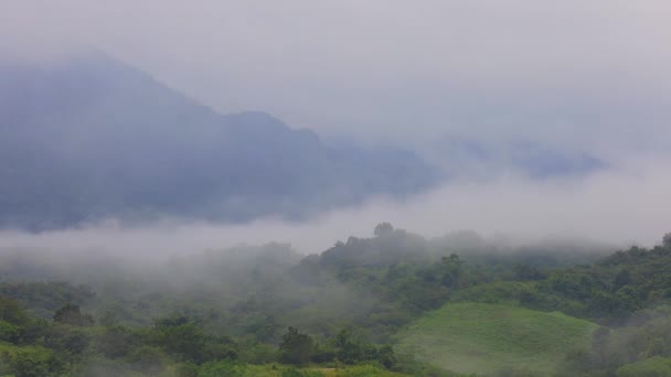 Niebla Que Fluye Través Del Valle Montaña Parque Nacional Khao — Vídeos de Stock