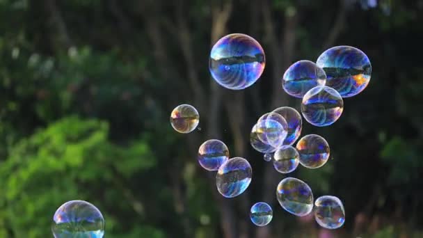 Мыльные Пузыри Плавающие Воздухе Естественным Зеленым Размытым Боке Фон Детей — стоковое видео