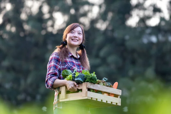 Ázsiai Farmer Cipeli Tálca Tele Frissen Szedett Organikus Zöldségek Kertjében — Stock Fotó