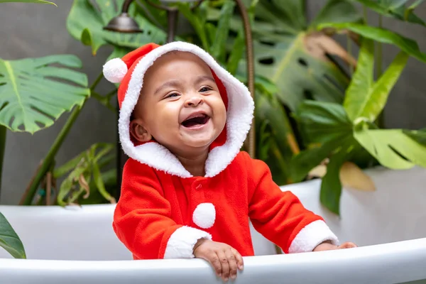 Afrika kökenli Amerikalı küçük bebek Noel Baba elbisesi içinde yeşil bitkilerle çevrili küvetin içinde gülüp oynuyorlar. 