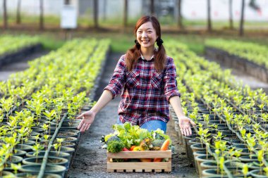 Asian woman farmer is showiing the wooden tray full of freshly pick organics vegetables in her garden for harvest season and healthy diet food