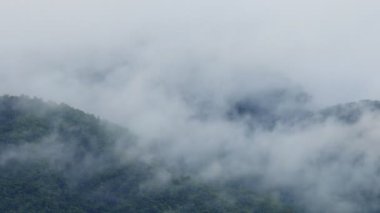 Tayland 'daki Khao Yai Ulusal Parkı' ndaki dağ vadisinden akan sis.
