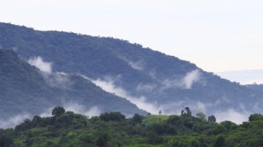 Tayland 'daki Khao Yai Ulusal Parkı' ndaki dağ vadisinden akan sis.