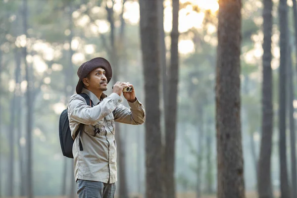 Bird watcher is looking through binoculars while exploring in the pine forest for surveying and discovering the rare biological diversity and ecologist on the field study