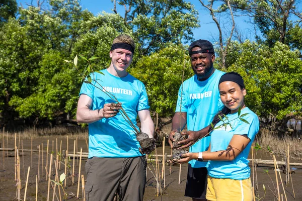 Team of young and diversity volunteer worker group enjoy charitable social work outdoor at mangrove planting NGO work for fighting climate change and global warming in coastline habitat