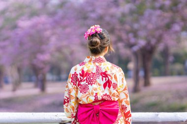 Geleneksel kimono elbiseli Japon kadının arkası, kiraz çiçeği bahar festivalinin parkındaki sakura çiçek ağacının fotokopi alanı manzarasına bakıyor.