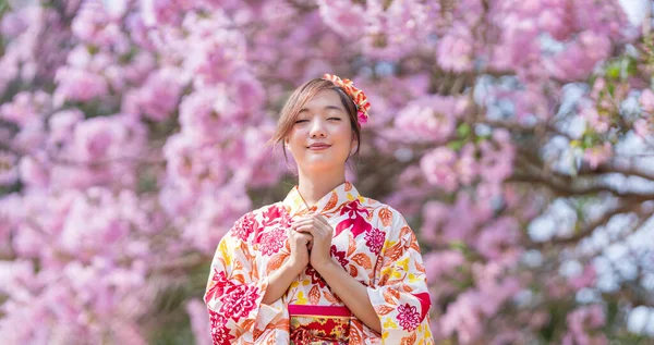 Japanese woman wearing traditional kimono dress is making a new year wish for good fortune while walking in the park at cherry blossom tree during spring sakura festival with copy space