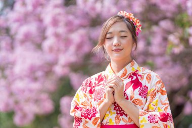 Geleneksel kimono elbiseli Japon kadın, bahar Sakura festivali sırasında kiraz çiçeği ağacında parkta yürürken yeni yıl için şans diliyor.