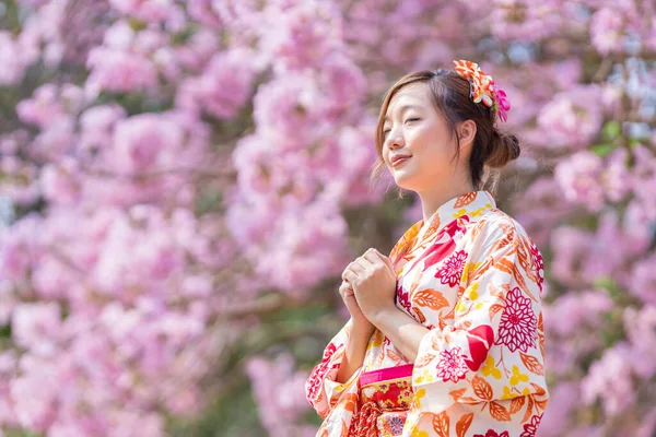 日本の伝統的な着物姿の女性は春の桜祭りの間 桜の木の公園を歩いている間に幸運を願い新年を作っています — ストック写真