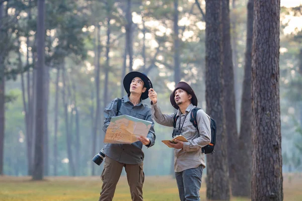 Team Asian Naturalist Looking Map While Exploring Pine Forest Surveying — Stock Photo, Image