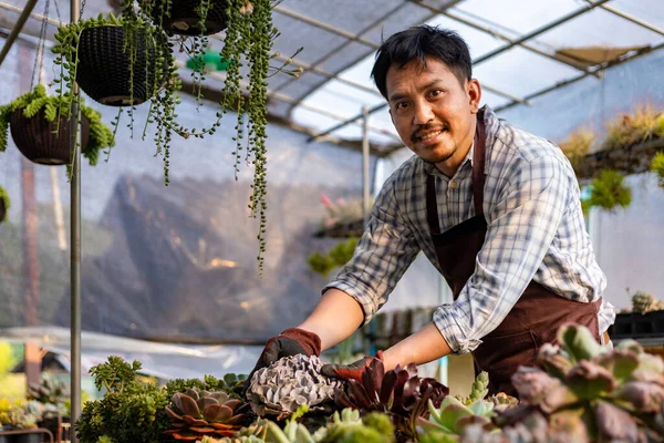 Asyalı Bahçıvan Sulu Bitki Koleksiyonlarıyla Dolu Seranın Içinde Çalışırken Yaprağın — Stok fotoğraf