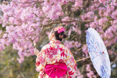Geleneksel kimono elbiseli Japon kadının elinde şemsiye ve tatlı Hanami Dango tatlısıyla bahar Sakura Festivali 'nde kiraz çiçeği ağacında yürürken.