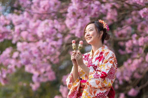 Japanese woman in traditional kimono dress holding sweet hanami dango dessert while walking in the park at cherry blossom tree during spring sakura festival