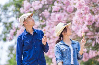 Hanami Dango tatlısını kutlayan Asyalı genç bir çift bahar Sakura Festivali 'nde kiraz ağacı bahçesinde yürürken.