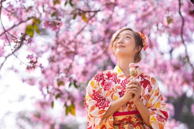 Geleneksel kimono elbiseli Japon kadın elinde tatlı Hanami Dango tatlısıyla bahar Sakura Festivali 'nde kiraz ağacı bahçesinde yürürken.