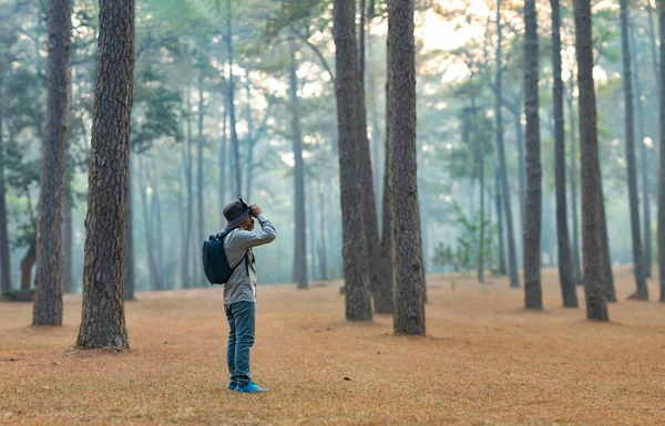 Bird Watcher Looking Binoculars While Exploring Pine Forest Surveying Discovering — Stock Photo, Image