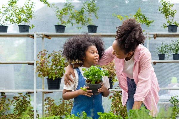 Африканская Мать Дочь Выбирают Овощные Травяные Растения Местного Сада Центра — стоковое фото