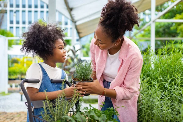 African Mother Daughter Choosing Vegetable Herb Plant Local Garden Center —  Fotos de Stock