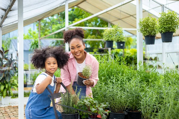 African Mother Daughter Choosing Vegetable Herb Plant Local Garden Center — Stock Fotó