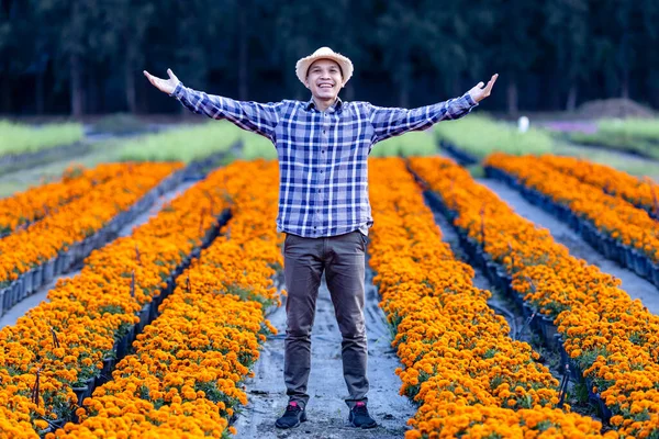 Asian gardener is welcoming people into his cut flower farm full of orange marigold for medicinal and garnish in the fine dining restaurant business