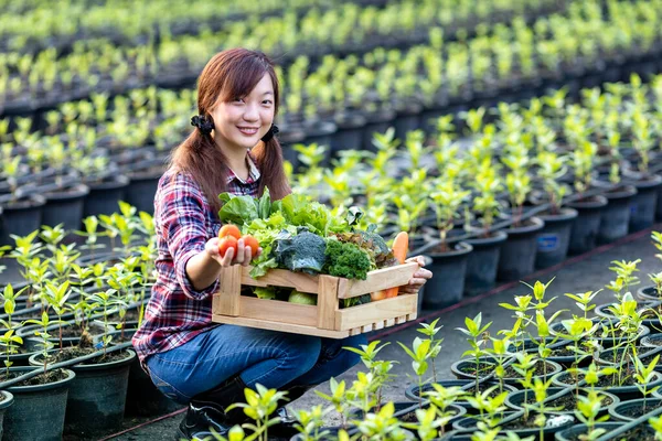 Ázsiai Farmer Mutatja Tálca Tele Frissen Szedett Organikus Zöldségek Kertjében — Stock Fotó