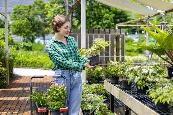 Fiatal Kaukázusi Ügyfél Választja Egzotikus Növény Helyi Kertészeti Óvoda Bevásárlókosár — Stock Fotó