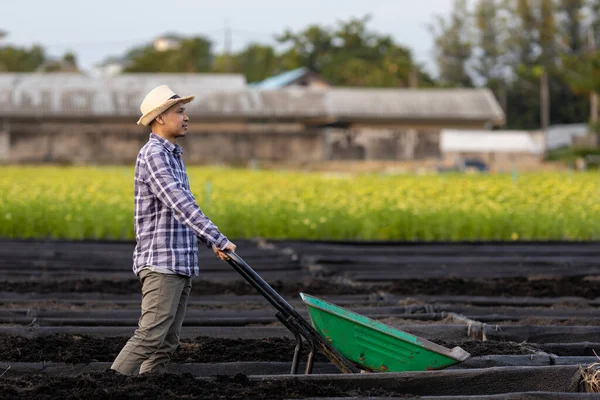 Agricultor Asiático Usando Carrinho Mão Para Colocar Composto Nova Horta — Fotografia de Stock