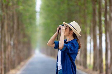 Asyalı turist kadın, seyahat ve fotoğrafçılık için ağaç sütunuyla yolda yürürken profesyonel kamerayla milli parkta fotoğraf çekiyor.