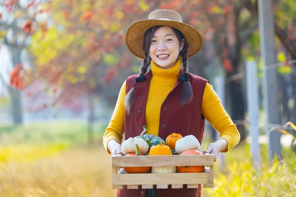 Boldog Ázsiai Farmer Lány Szállító Termék Betakarítás Hazai Organikus Alma — Stock Fotó