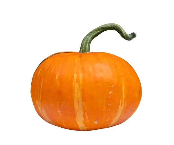 Orangefarbener Miniaturkürbis Isoliert Auf Weißem Hintergrund Für Die Herbsterntezeit — Stockfoto