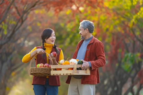 Mutlu Çiftçi Ailesi Güz Mevsiminde Elma Kabak Akçaağaç Renginde Meyve — Stok fotoğraf