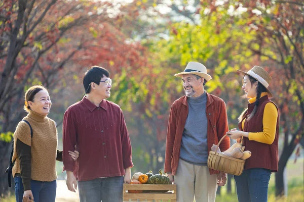 Happy Asian farmer family with senior parent are carrying produce harvest with homegrown organics apple, squash and pumpkin with fall color from maple tree during autumn season for agriculture concept