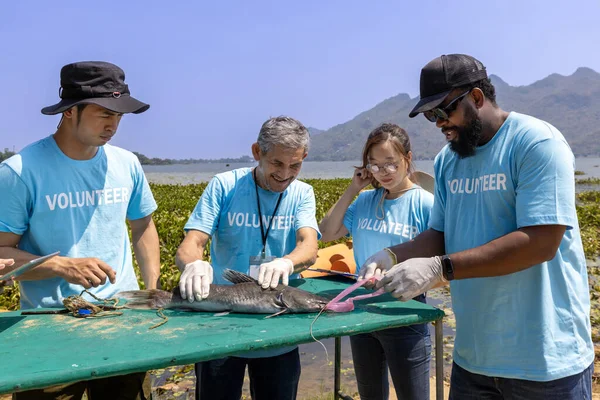 Team of ecologist volunteer pulling non biodegradable micro plastic from the endanger species fish due to the irresponsible waste littering into ocean for climate change and saving nature
