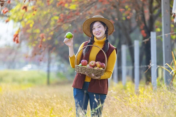 Šťastný Asijský Farmář Dívka Nesoucí Košík Produkovat Sklizeň Homegrown Organics — Stock fotografie