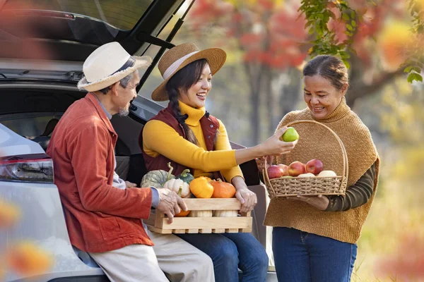 Happy Asian farmer family with senior parent are carrying produce harvest with homegrown organics apple, squash and pumpkin with fall color from maple tree during autumn season for agriculture