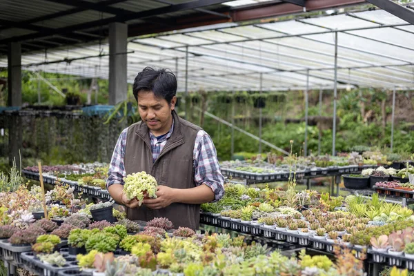 Asyalı Bahçıvan Süs Bahçesi Boş Zaman Kullanımı Için Sağlıklı Bir — Stok fotoğraf