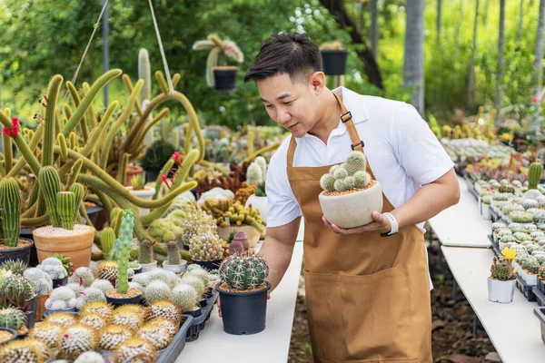 Jardinero Asiático Está Trabajando Dentro Del Invernadero Lleno Colección Plantas —  Fotos de Stock
