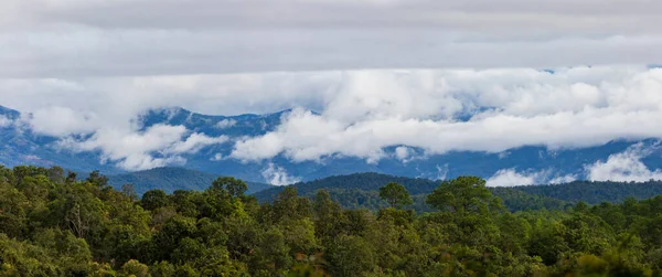 Panoramic Shot Fog Flow Luang Mountain Valley Chaingmai Morning Light — Stock Photo, Image