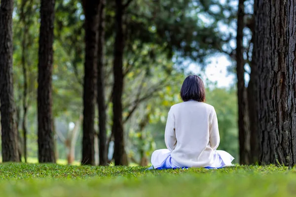 Woman Relaxingly Practicing Meditation Pine Forest Attain Happiness Inner Peace — Stock Photo, Image