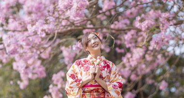 Geleneksel kimono elbiseli Japon kadın elinde tatlı Hanami Dango tatlısıyla bahar sakura festivali konsepti sırasında kiraz çiçeği ağacının orada yürürken.
